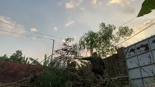Cleaning the Garden (Part 1) ASMR| Natural Work Sounds