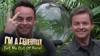 Lady C Swears At Ant & Dec During Bushtucker Trial Task | I'm A Celebrity... Get Me Out Of Here!