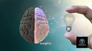 Welcome to MindStick Media YouTube channel