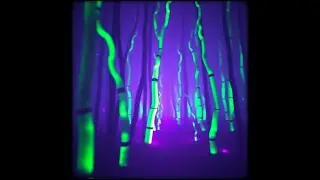 Mushroom Star Gate XII (145 BPM Full On Psytrance Tribal Acid Ritual) #psytrance #music #electronic
