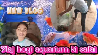 Day 30 Itna Ganda Tha Mera Aquarium 😱 | Full Cleaning Process | Hardoi Vlogger&rdquo; #vlog #aquarium 