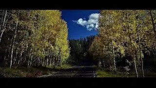 🔴  Flagstaff, Arizona -  Autumn Season & Golden Aspen Trees  |  HD Urban Walking Tour 4k