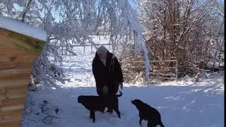 winter 2001
