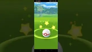 Shiny Raid Boss - Yveltal Pok&eacute;mon Go