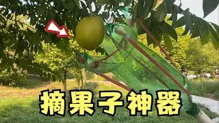 用塑料瓶自制“摘果子神器”！
