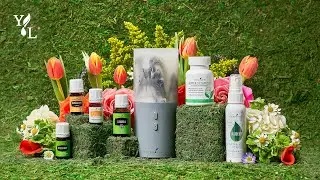 Подарок за покупку в июне | Эфирные масла Young Living
