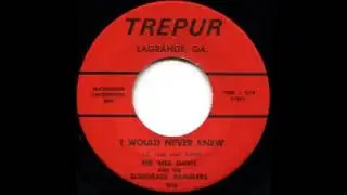 I Would Never Knew - Pee Wee Davis & his Bluegrass Ramblers