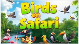 The Birds on Safari Sing All Day| Flap Chirp! Safari Bird Sound Song| What Do the Safari Birds Say|