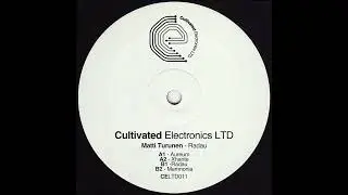 Matti Turunen -- Radau