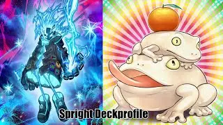 Spright Toad Turbo Deckprofile | Yu-Gi-Oh #yugioh
