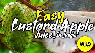 How to make Custard Apple Juice! in jungle