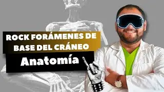 Foramenes de la base del cr&aacute;neo