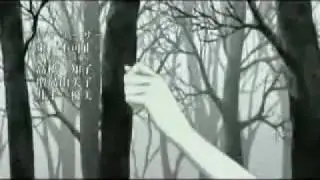 Move Along ~ The All-American Rejects AMV