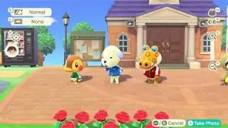 Musical Exercise | Animal Crossing: New Horizons