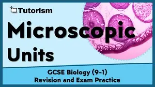 Acronym to MASTER Microscopic Unit Conversions?🧐 | GCSE Biology Exam Practice & Revision