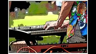 Ave de paso- Sandro- (Nico Roth remix)