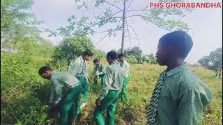 Cleaning school campus PROJECT HIGH SCHOOL GHORABANDHA before summer vacation