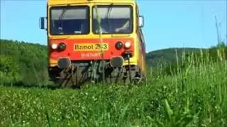 Bzmot a z&ouml;ldben - Bzmot train in Hungary - Railway - Bahn - רכבת