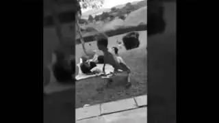 BRO MOMENTO versi&oacute;n turbia