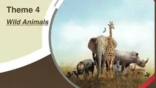 Wild Animals Track 2
