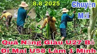 Quá Nắng Giàu U27 Bỏ Đi Mai U58 Làm Một Mình #yeucuocsong #giadinh #mientay #thinhhanh  