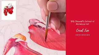 Coral Tree - Preview with Billy Showell ⎮Watercolour Beautiful