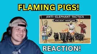 Огненные свиньи и тактика борьбы со слонами &mdash; Invicta Reaction