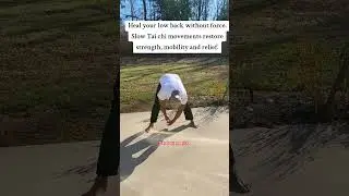 low back pain relief #taichi #wellnessjourney #taichi #backexercise #fyp