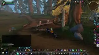 How to do Local Support quest - WoW WOTLK Classic
