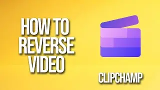 How To Reverse Video Clipchamp Tutorial