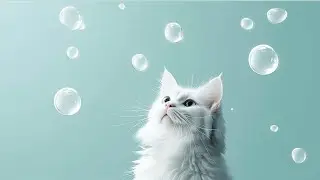 OnGi playlist 3집 생각 탈출~! thoughtless time~