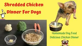 Dog Food Recipe - Shredded Chicken - How To Make Homemade Dog Food For Small Dogs - Pet Fooled Love