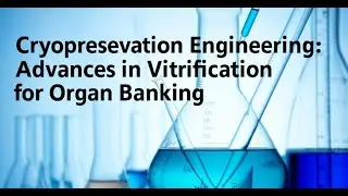 Cryopreservation Engineering: Advances in Vitrification for Organ Banking