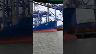 Vallarpadam container terminal | Loading & unloading of goods in a ship     #marinedrive