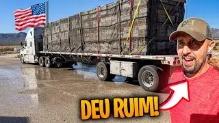 FUI PARADO NA BALANÇA, MUITAS ABELHAS MORRERAM! 🥵🇺🇸