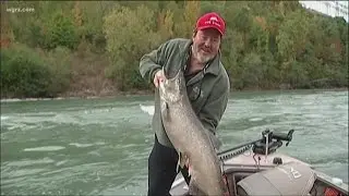 2 the Outdoors: Stocking the Lower Niagara River