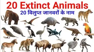 20 Extinct Animals | विलुप्त जानवरों के नाम और जानकारी | Educational Video for Kids | Kids Learning