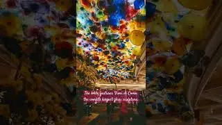 Bellagio fun facts #bellagioconservatory #bellagio #towntraveller #bellagiolasvegas