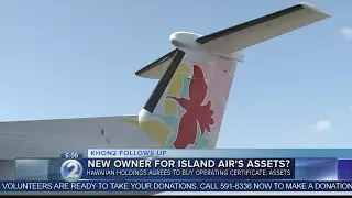 Hawaiian Airlines' parent company offers to buy Island Air