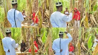 Viboko Day🙆&zwj;♂️🙆&zwj;♂️Beelzebub Alitoka Mbio... MURIFE DON'T RUUUN 🏃🏃🏃MAM &AFANDE X CONFESSED CRYING😭😭😭