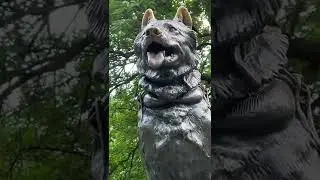 Heroic dog honored in Central Park NYC!