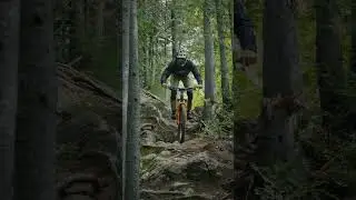 The 38 Navigating the Gnar.