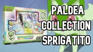 Pok&eacute;mon Paldea Collection - Sprigatito