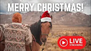 Merry Christmas! Live From The MTN Built Herd!