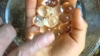 Polymer water beads!  Saves water.  Plants?