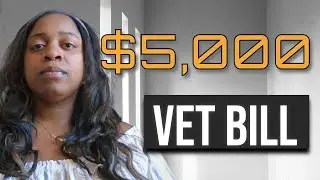 The True Price of Owning a Pet