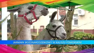 Jarmark Bożonarodzeniowy w Kaliszu Pomorskim