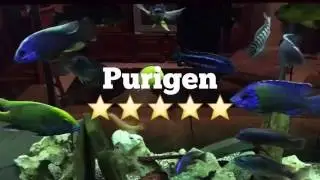 100 gal & Purigen update