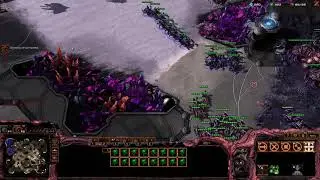 Malus Tour SS3 Code S zergden vs Tingywingy