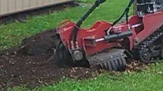 Tree Grinding